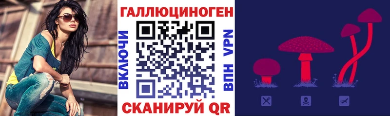 Псилоцибиновые грибы MAGIC MUSHROOMS  закладка  Демидов 